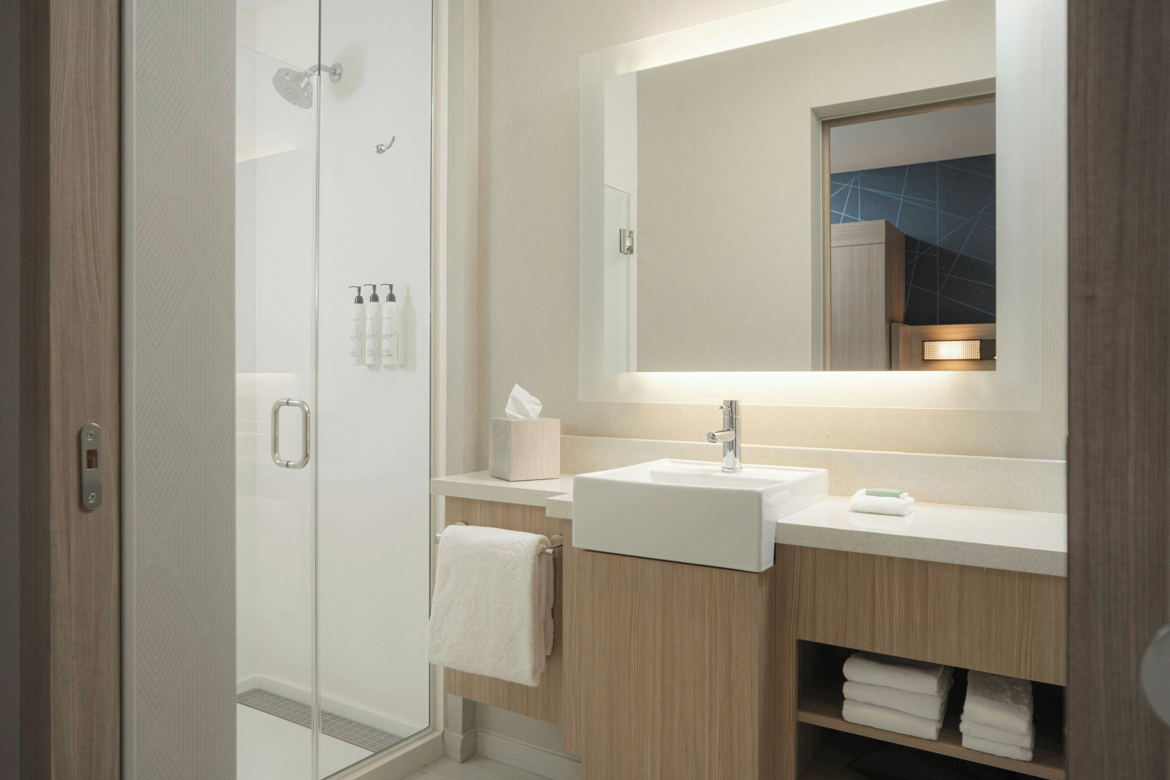 A modern bathroom with a glass shower enclosure, a white sink, and a mirror above it.