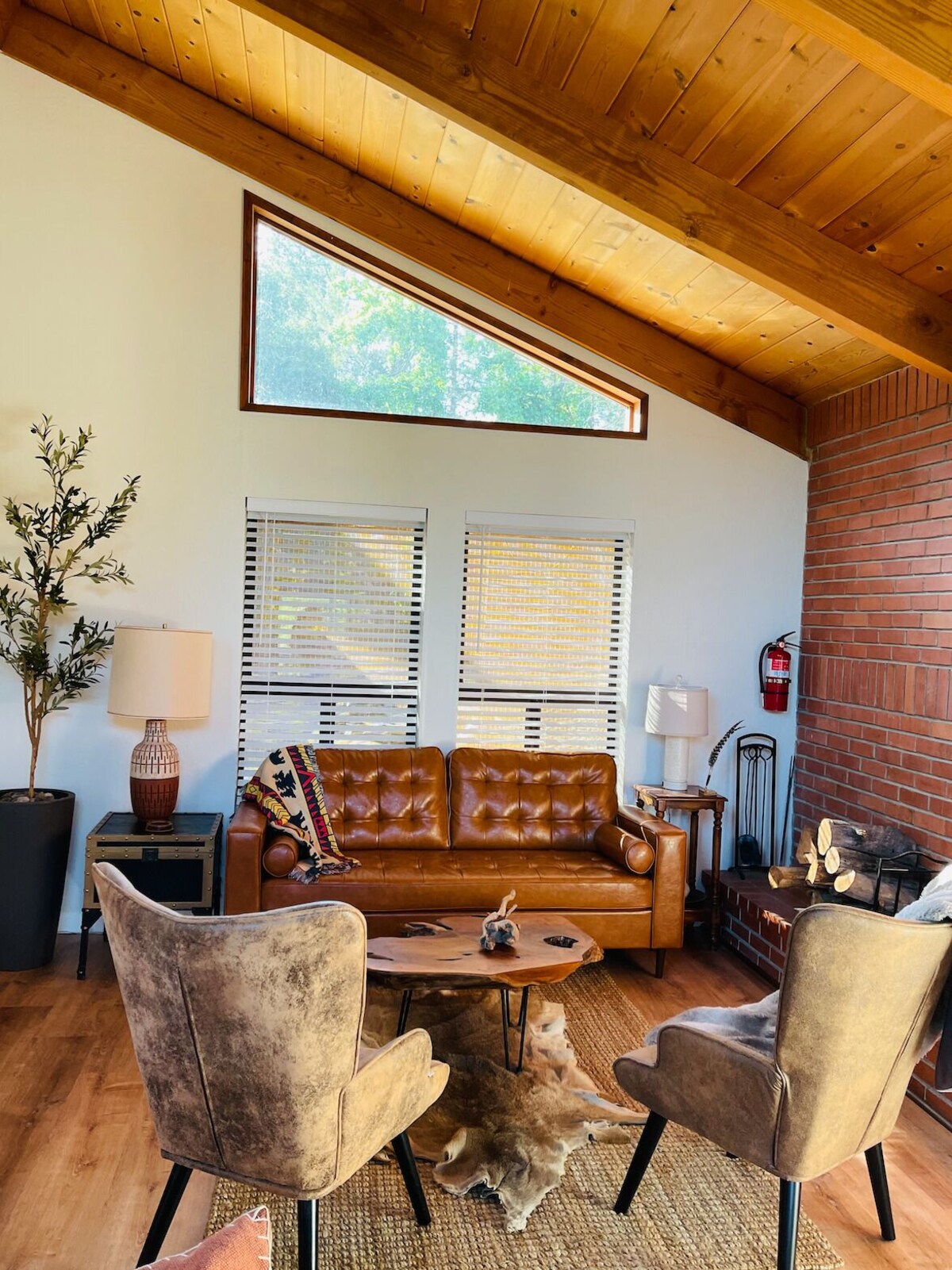 オーナーのプロフィール画像