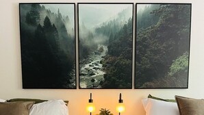 Une chambre avec deux lits, une table de chevet ornée d’une plante et trois tableaux représentant un paysage forestier.
