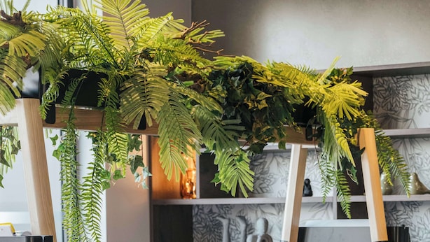 Un espace de salle à manger moderne, avec une longue table, des chaises et un arrangement décoratif de plantes au-dessus.