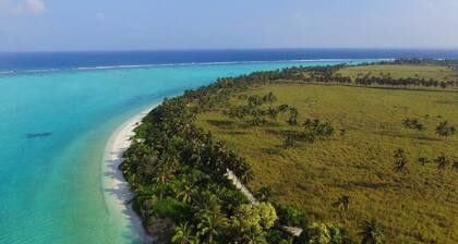 Dream. Explore. Discover.
Thoddoo Island - Most famous Agricultural island.