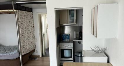 Beautiful apartment Germersheim with 44 sqm