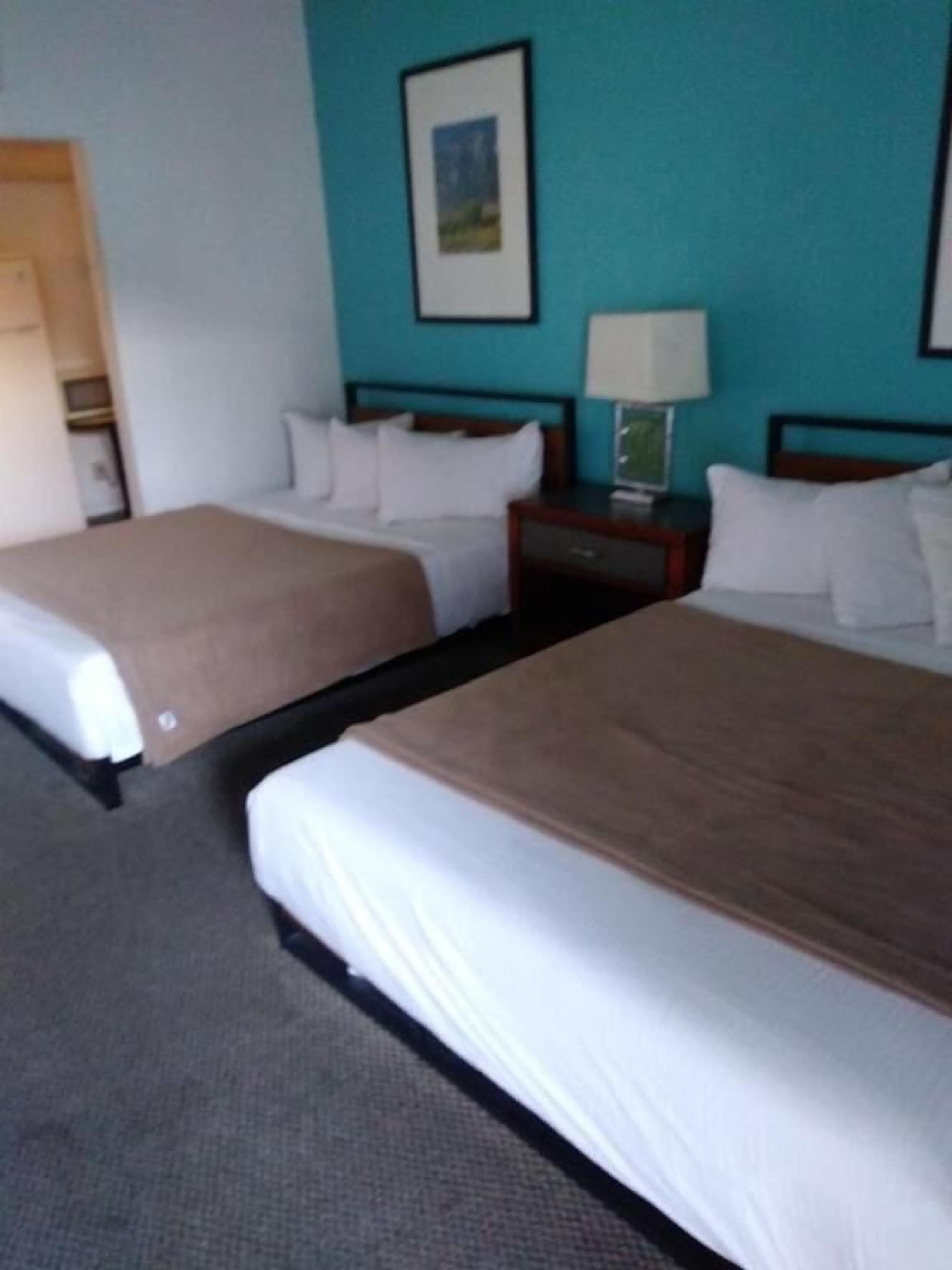 Habitación de hotel con dos camas, una mesita de noche con lámpara y un cuadro enmarcado en la pared.