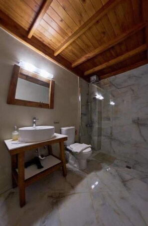 Shower, towels
