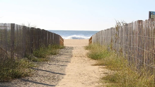 En sandstig som löper längs stranden, med trästaket på vardera sidan, och som leder ner till havet.