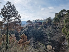 A building with a green roof, surrounded by dense forest.