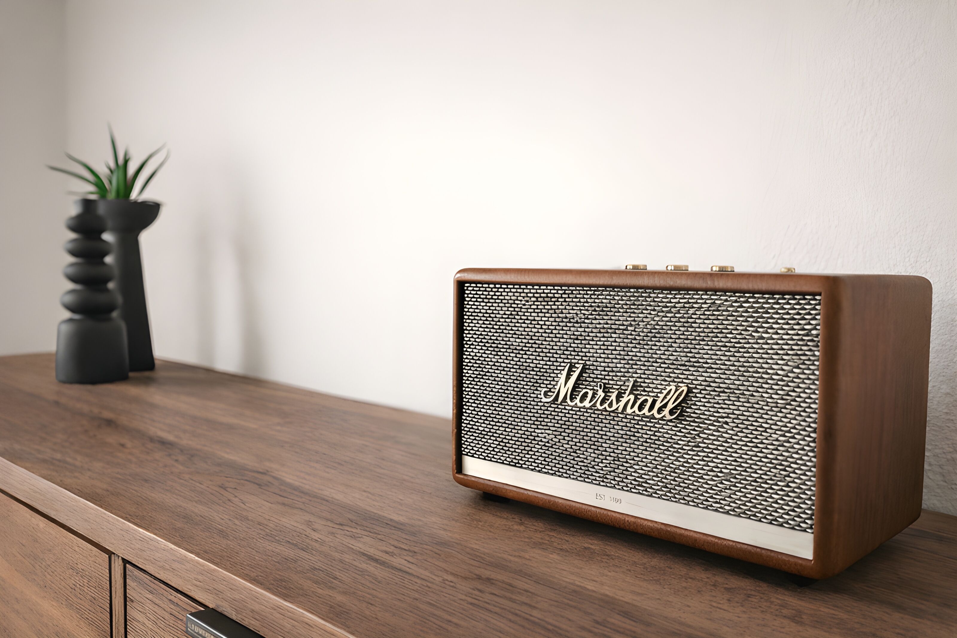 Um amplificador Marshall antigo sobre uma superfície de madeira, com uma planta em vaso ao fundo.