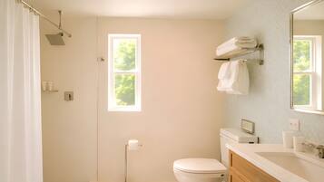 A bathroom with a toilet, sink, and shower area.