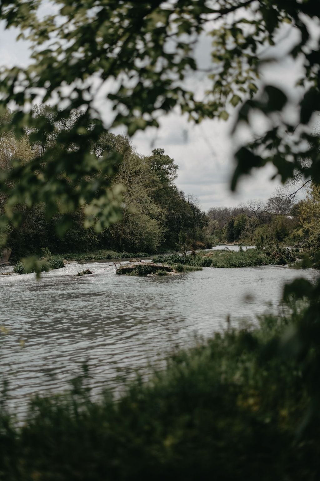 A river with dense foliage on both sides, a rocky outcrop in the water, and a cloudy sky.