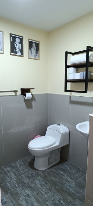 Sèche-cheveux, serviettes fournies, savon, papier toilette