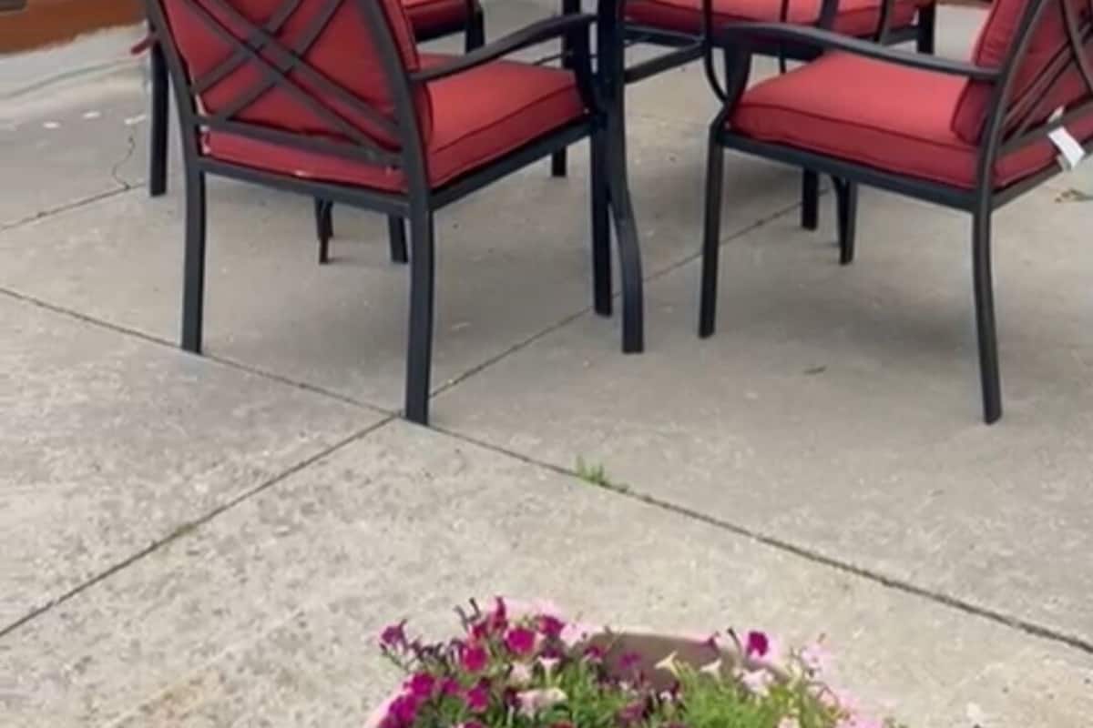 A patio with a glass table and four red chairs, a yellow umbrella, and a flower pot.