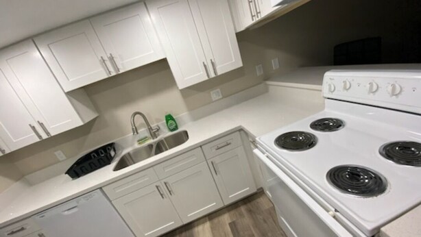 A modern kitchen with white cabinets, a built-in dishwasher, and a white stove.