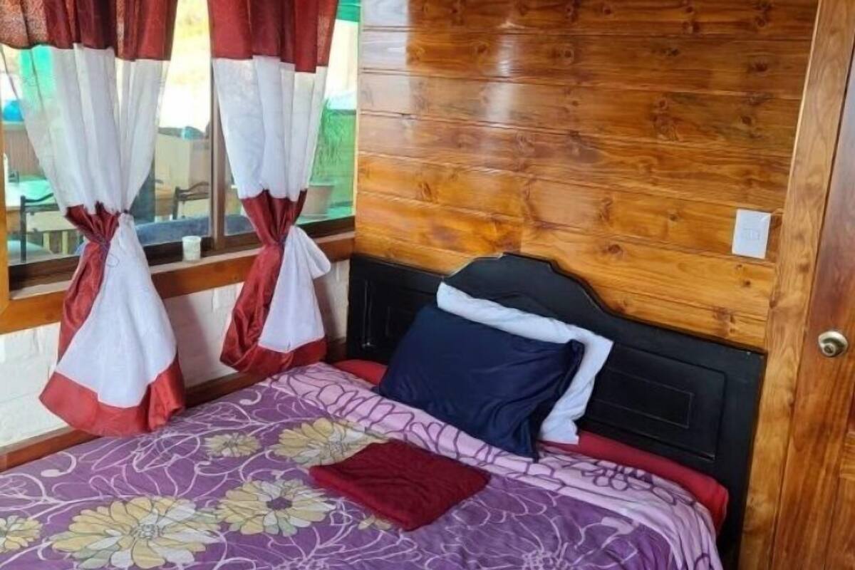 A wooden-paneled room with a bed, curtains, and a window.