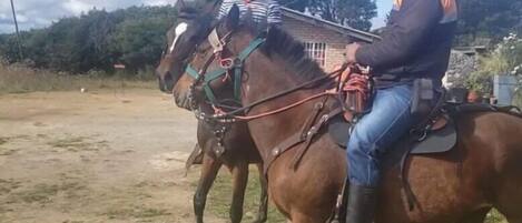 Horseback riding