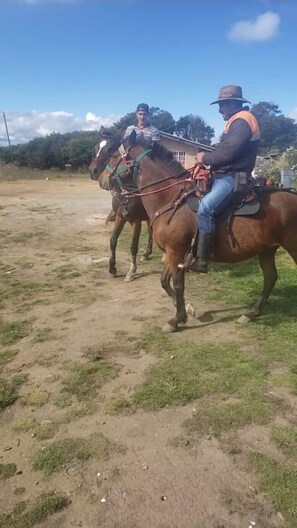 Horseback riding