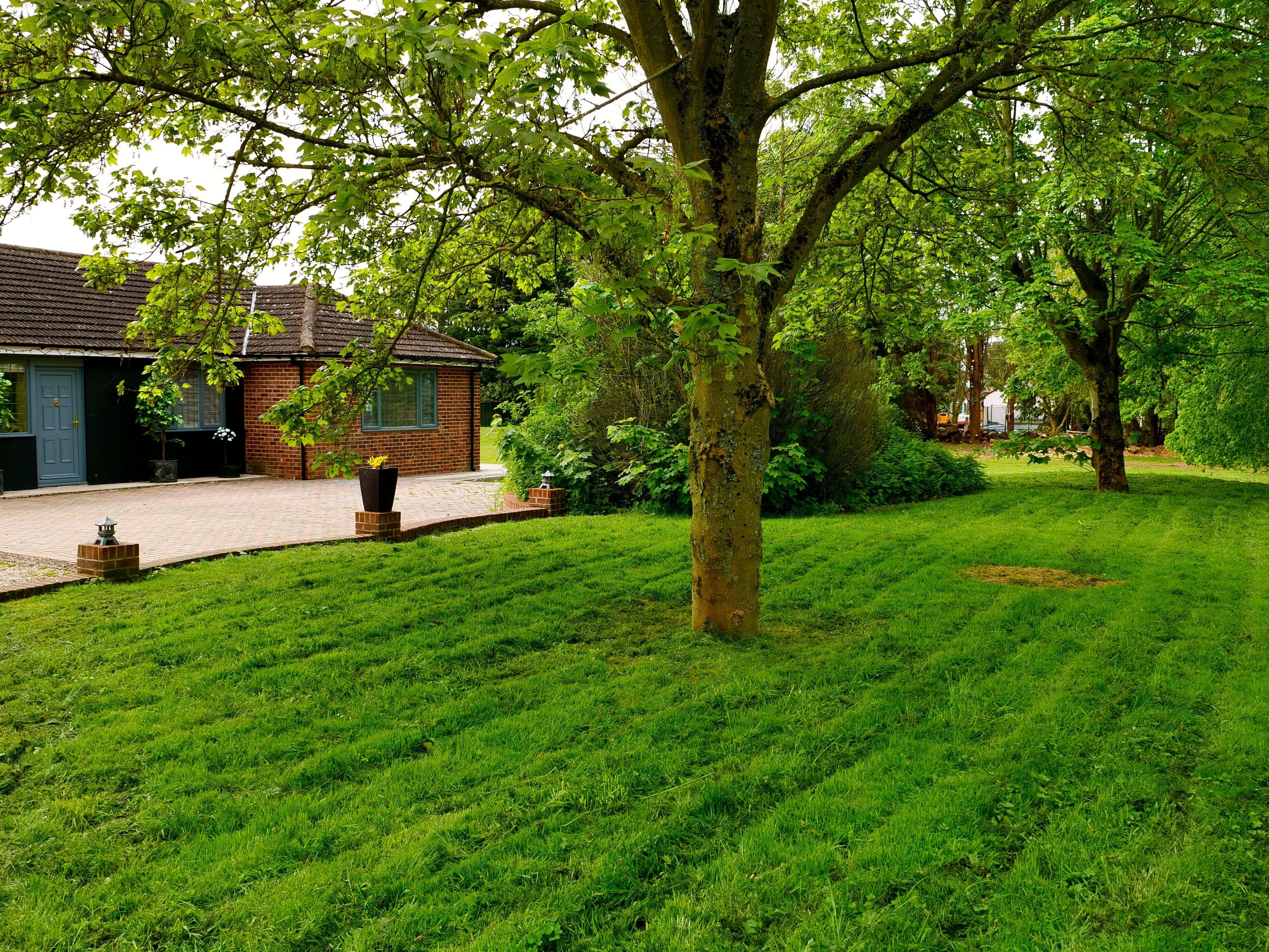 House | Property grounds