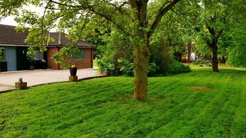 House | Property grounds