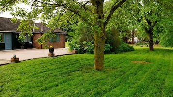 Cabin | Property grounds