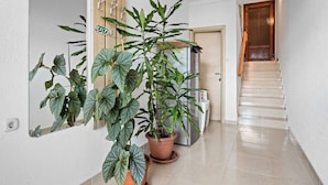 Un couloir avec une plante en pot, une porte portant une pancarte « SORTIE », un réfrigérateur et un escalier.