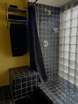 Shower, eco-friendly toiletries, hair dryer, towels - Treat Casa: Beautiful Spanish style home in historic & walkable Sam Hughes area (Tucson)