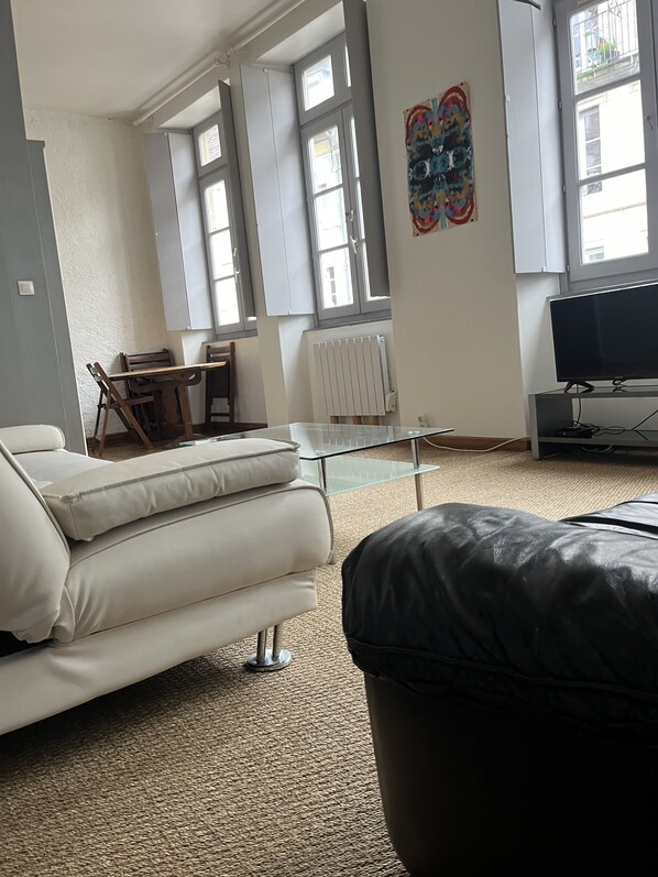 Smart TV - Large apartment City center free park (Besançon)
