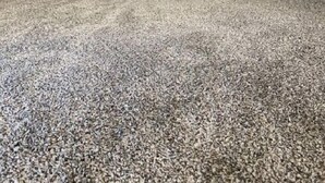 Un amplio ático con techo inclinado, un ventanal grande y suelo alfombrado.