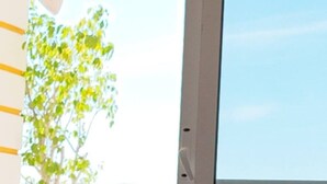 Ein Zimmer mit großem Fenster, einem Blumentopf und Blick auf eine blaue Geländer.