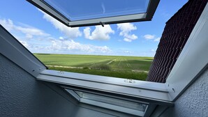 Ein Oberlicht mit Blick auf ein grünes Feld und einen klaren Himmel.