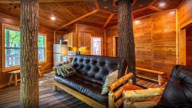 A log cabin interior with a leather sofa, wooden flooring, and a kitchen area. - Tree House Deluxe Cabin w/bath - Glamping with real trees growing in the center of the cabin! (Manchester)