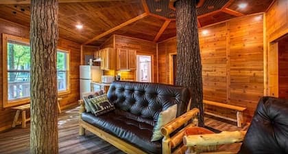 Tree House Deluxe Cabin w/bath - Glamping with real trees growing in the center of the cabin!