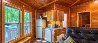 Tree House Deluxe Cabin w/bath - Glamping with real trees growing in the center of the cabin!