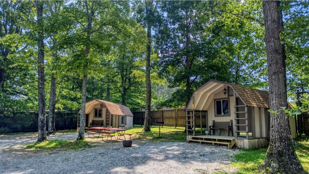 Eine rustikale Holzhütte mit Picknicktisch und einem kleinen Schuppen in einem bewaldeten Gebiet.