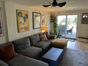 Smart-TV, DVD-spiller, bøker og stereoanlegg