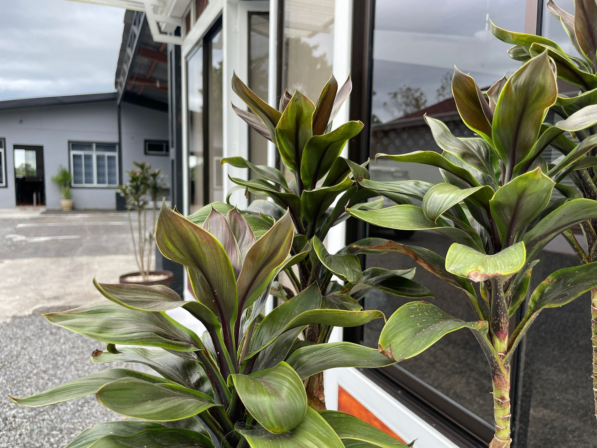 Details aan de buitenkant