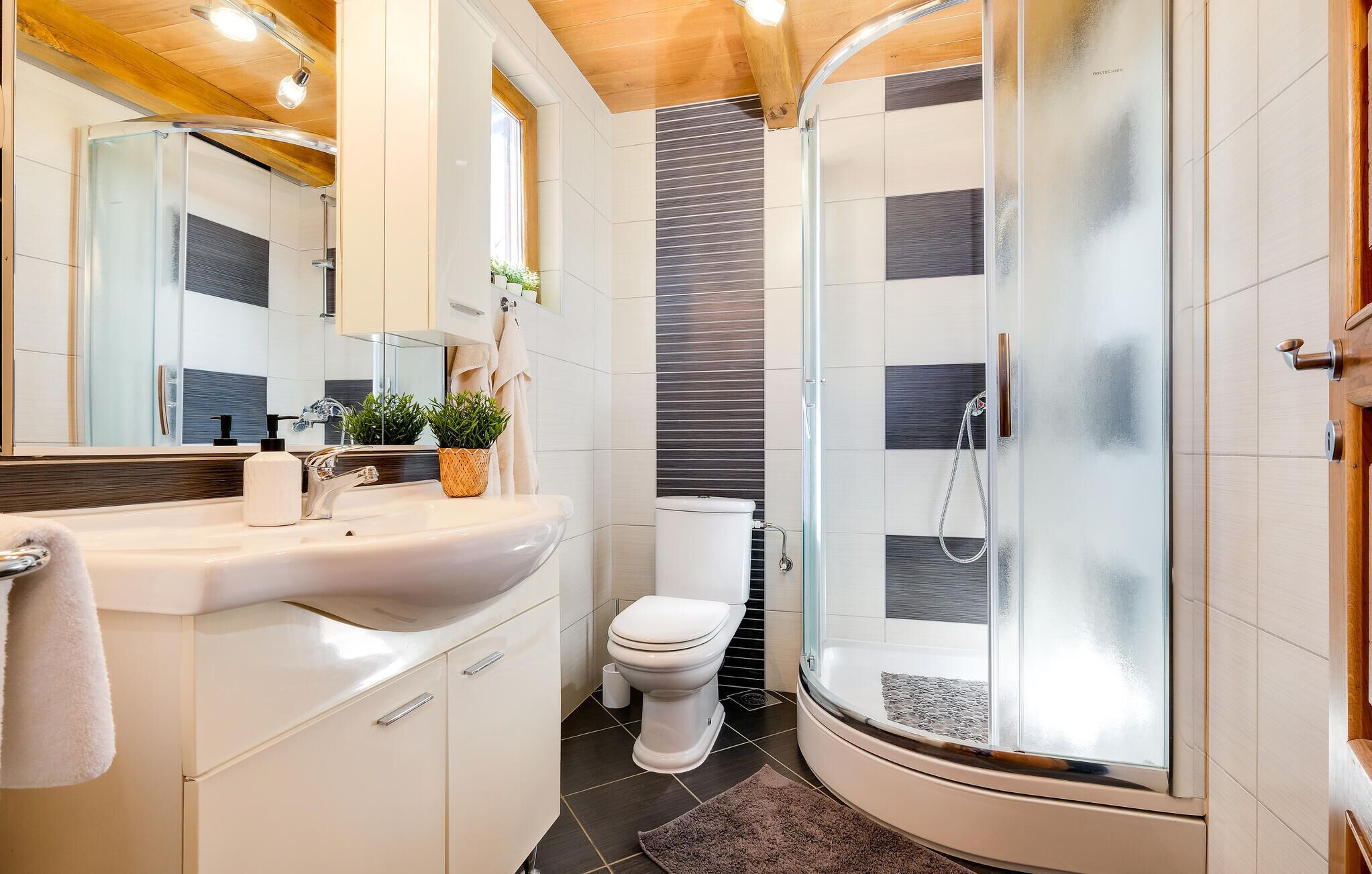 Shower, hair dryer