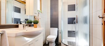 Pet friendly home in Rovisce with sauna