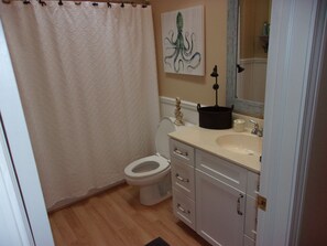 Hair dryer, towels, soap - Waterfront Mullet Lake Cottage (Indian River)