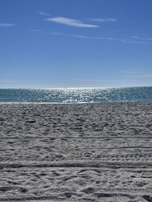 Experience the serene beauty of the ocean's edge, where the sandy shoreline meets the horizon.