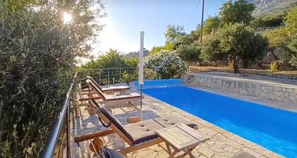 Casa Malinas surround beautiful nature and a wonderful views to the sea.