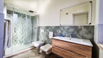 A modern bathroom with a glass-enclosed shower, a bidet, a wooden vanity, and a large mirror.