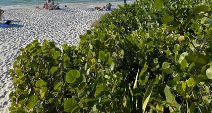 Luxury 2-Bed Condo Steps to Naples Beach & Downtown!