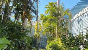 A lush garden with palm trees, a well-maintained lawn, and a white fence.