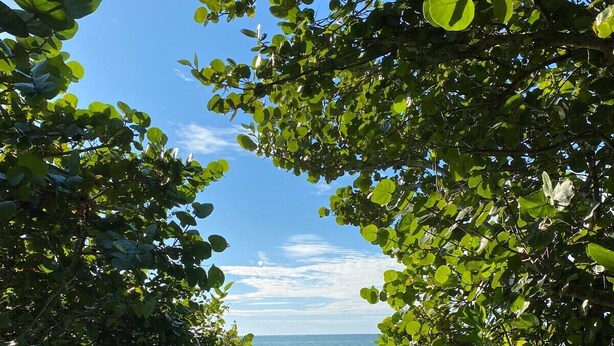 A wooden boardwalk leading to a beach with a clear view of the ocean.