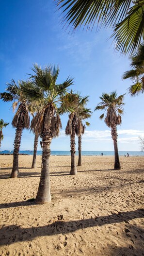 Una playa arenosa con palmeras y un cielo azul despejado.