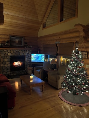 Smart TV, fireplace, DVD player, books