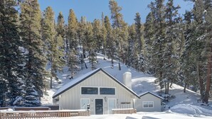 A snow-covered cabin with a two-story structure, a front porch, and a picnic table in a forested area. - Red River Retreat (Red River)