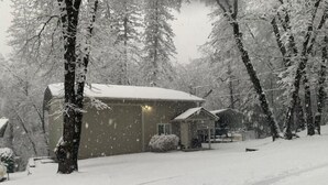 A snow-covered cabin with a single-story structure, surrounded by tall trees. - Doney Creek Studio (Lakehead-Lakeshore)
