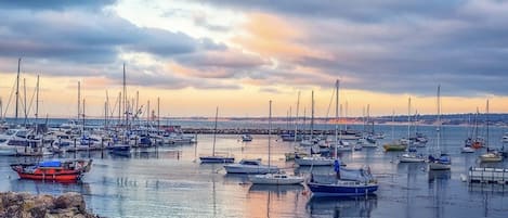 Port de plaisance