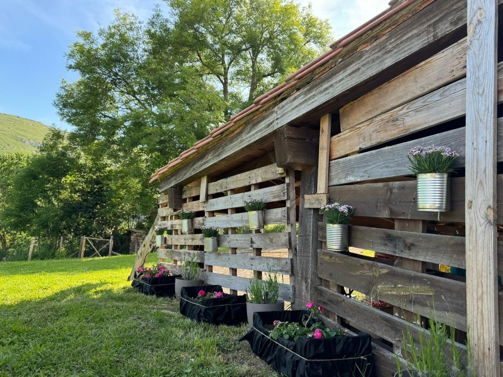 Áreas de la propiedad