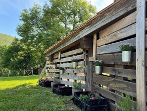 Property grounds - Spacious 5-bedroom cottage in wonderful Riotuerto with WiFi (Riotuerto, La Cavada)